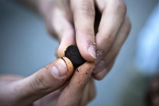 Osa nuuskaajista leipoo mällin sormissaan sen sijaan, että käyttäisi tykkiä. Kuva: Marjo Tynkkynen.