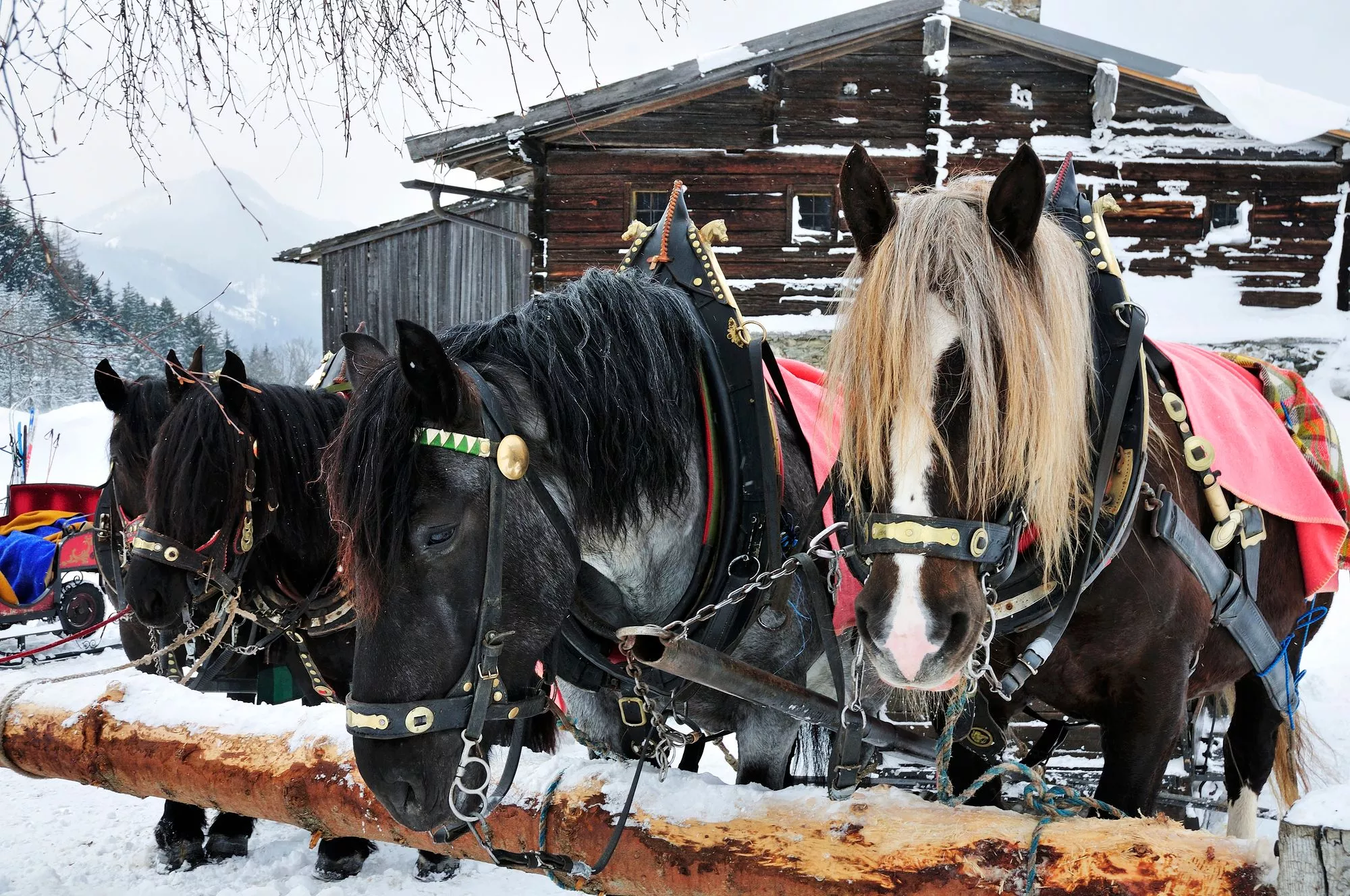 Pikkukylä Cogne on paratiisi hiihtäjälle, joka kaipaa uusia maisemia