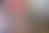 Anne-Maria Saloniuksen (vas.) Frodo-koira käy hoidossa muutamana päivänä viikossa. Päiväkodin omistaja Raisa Kouhia ja eläintenhoitaja Minka Schulman ottavat asiakkaat vastaan. Myös tiibetinterrieri Mali (oik.) odottelee kavereiden luokse pääsyä. © Sini-Marja Niska