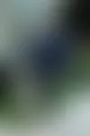 ”Uudessa Syke-elokuvassa on toimintaa, mutta siinä keskitytään hyvin vahvasti roolihahmo Holopaisen ihmissuhteisiin”, Syke-sarjassa ja tulevassa Syke: Särkynyt sydän -elokuvassa näyttelevä Antti ­Luusuaniemi kertoi. © Tiia Ahjotuli