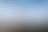 Arja Kustula viettää paljon aikaa Porttipahdan rannoilla koiransa Akustiikan, eli Akun, kanssa. Kuvan vasemmassa reunassa näkyy Salmurinvaara, se sama, joka näkyi Arjan lapsuudenkodin pirtin ikkunasta. © Juha Kauppinen