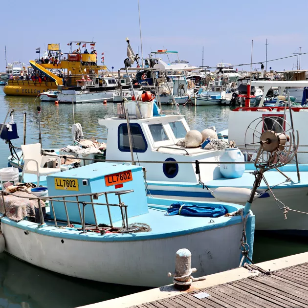 Agia Napan satamassa on kalastajaveneitä, jotka toimittavat päivittäin ravintoloille tuoreita mereneläviä.