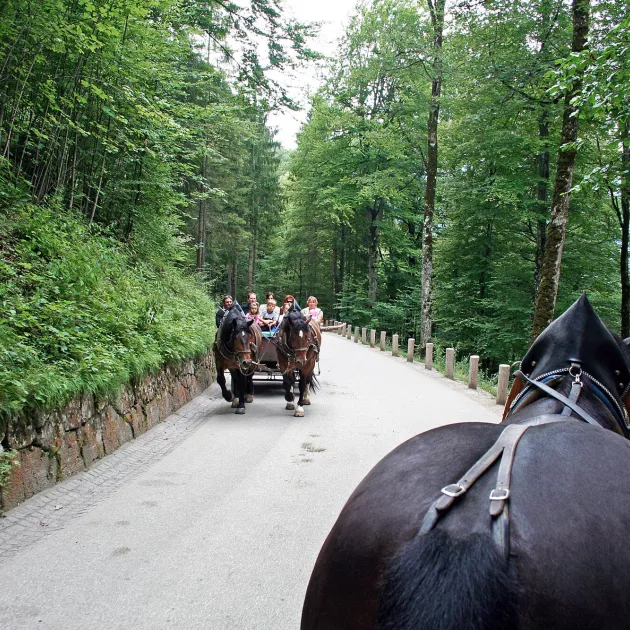 Linnan ja kylän välisen matkan voi kulkea bussin sijaan myös perinteisillä hevosvaunuilla.