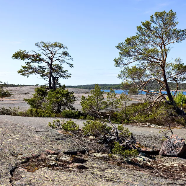 Ahvenanmaalaisissa selviytymistarinoissa saariston luonto määrää ihmisen paikan maailmassa.