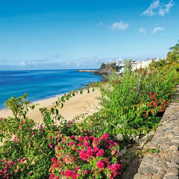 Fuerteventuralla on erinomaiset mahdollisuudet patikointiin, pyöräilyyn ja kävely- ja juoksulenkkeihin.