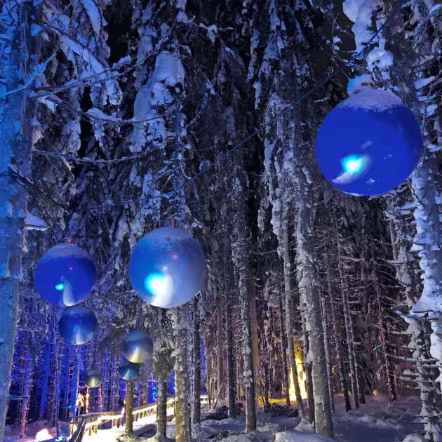 Valoteoksin koristeltu elämyspolku on yksi talvisen Puijon houkutuksista.