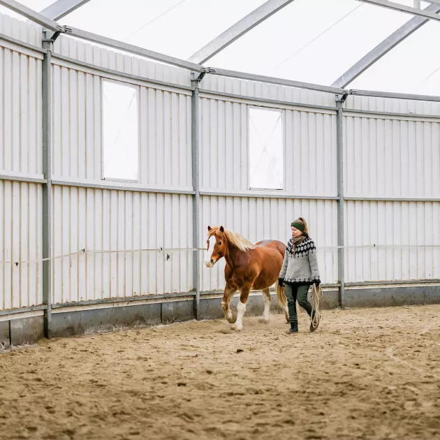 Toiskan tallilla Pauliina saa viettää hevosten kanssa aikaa omien arvojensa mukaisesti eläimiä kuunnellen.