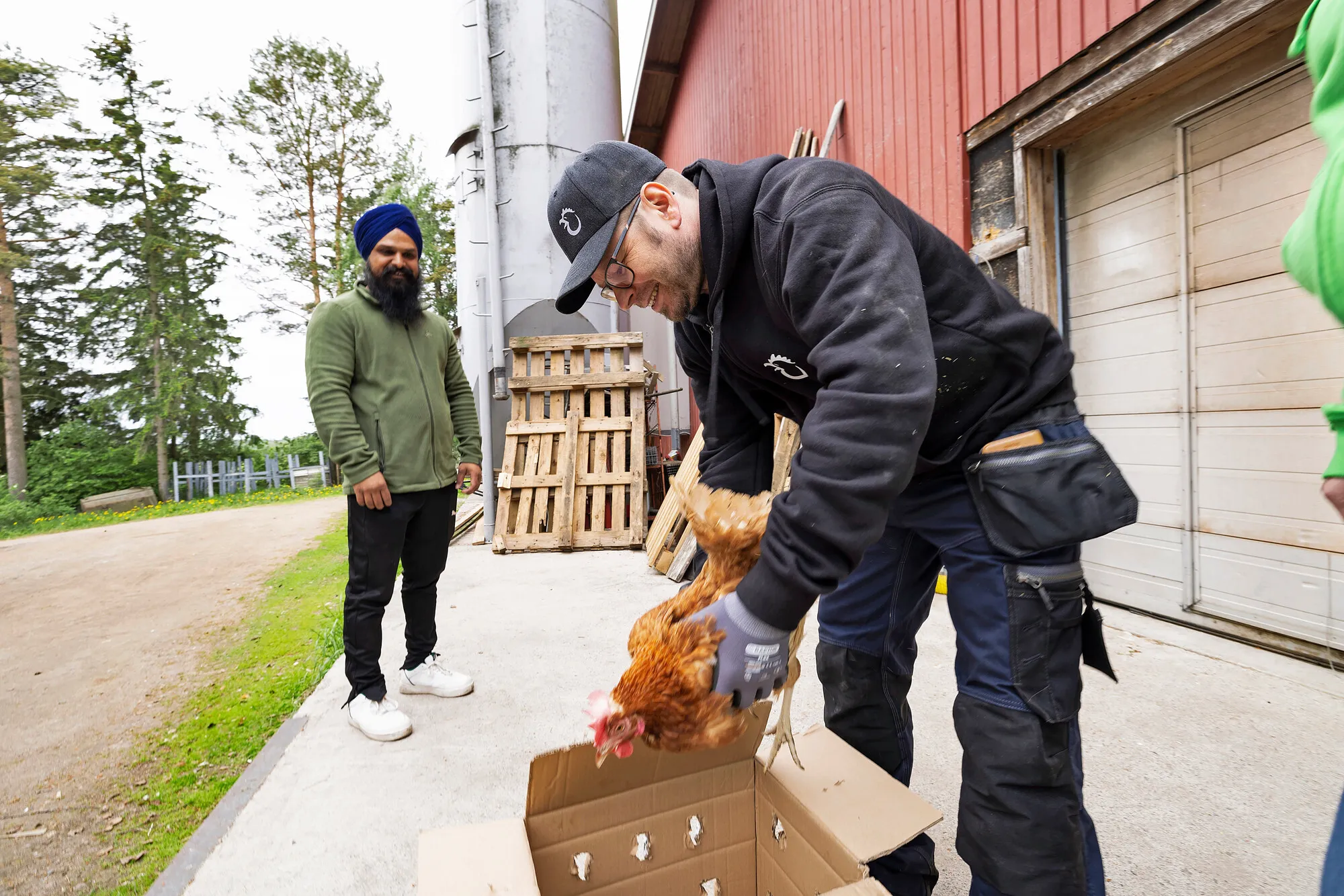 Inderjeet Singh on tullut hakemaan pihakanaa. Janne Rautakannel laittaa sen laatikkoon kuljetusta varten.