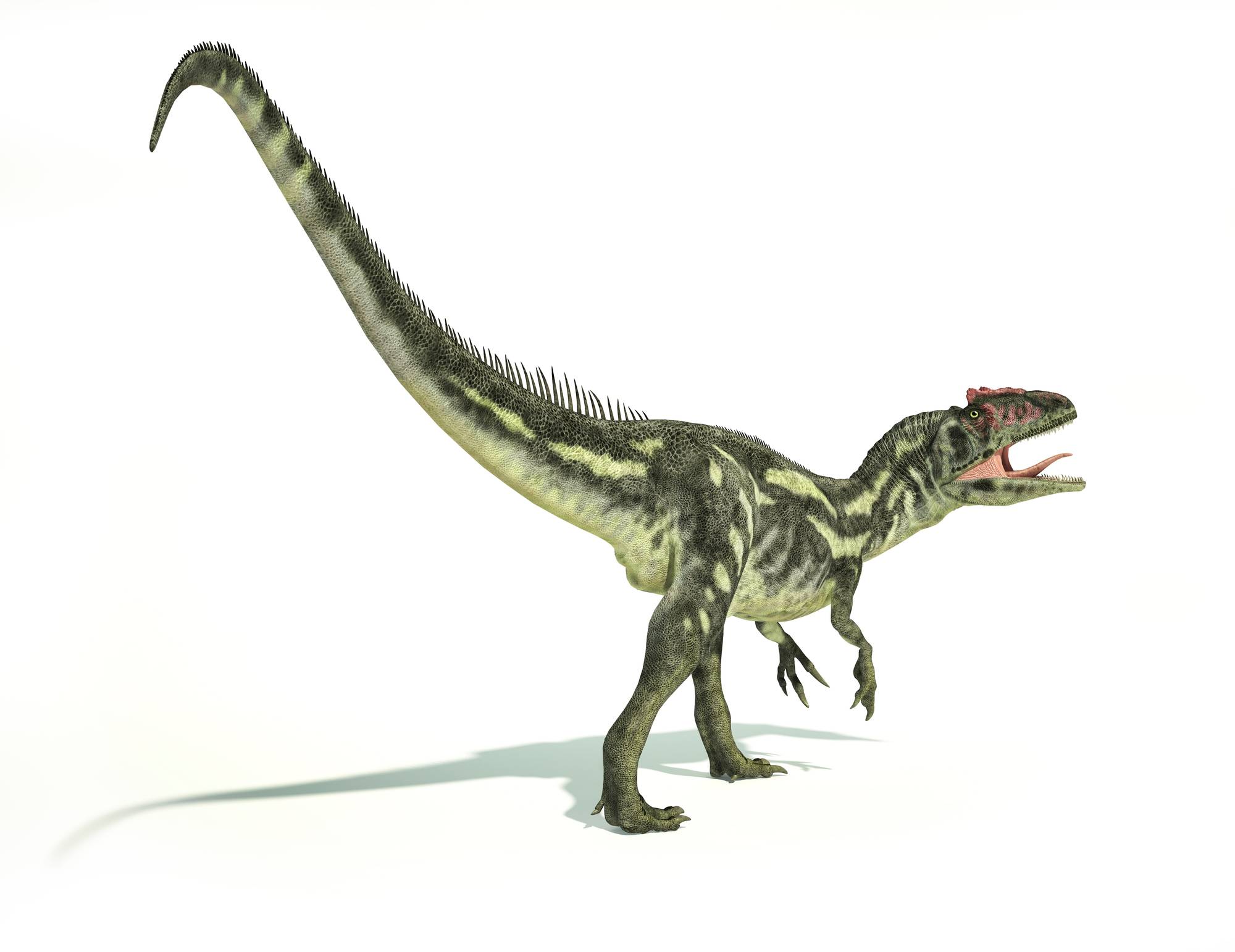 Dinosaurukset kuolivat äkillisesti sukupuuttoon liitukauden joukkosukupuutossa noin 65 miljoonaa vuotta sitten.