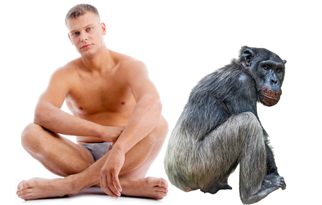 Simpanssi ja ihminen