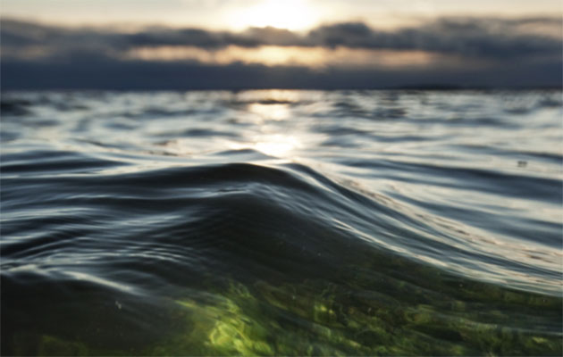 Muoviroskat ovat uhka Itämerelle