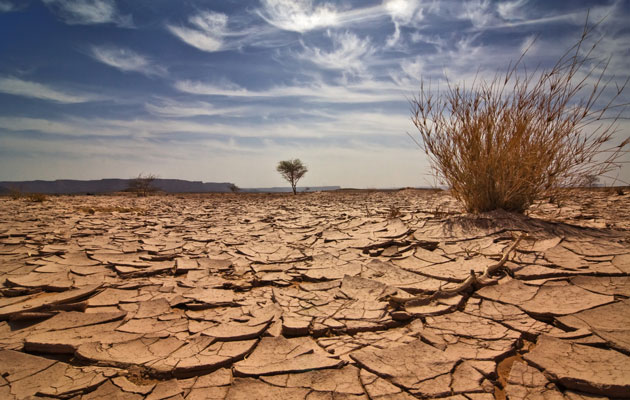 Kun kuivuus on ankaraa, luonnon ekosysteemi on koetuksella.