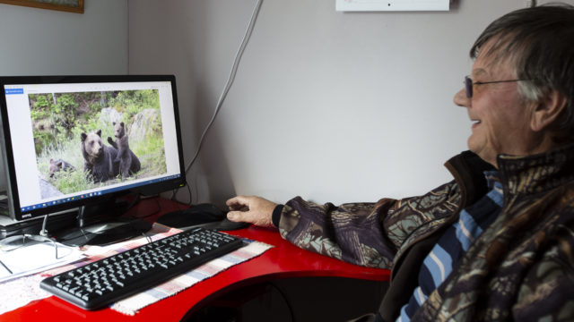 Oiva Kainulainen katsoo tietokoneelta kuvaa karhuperheestä.