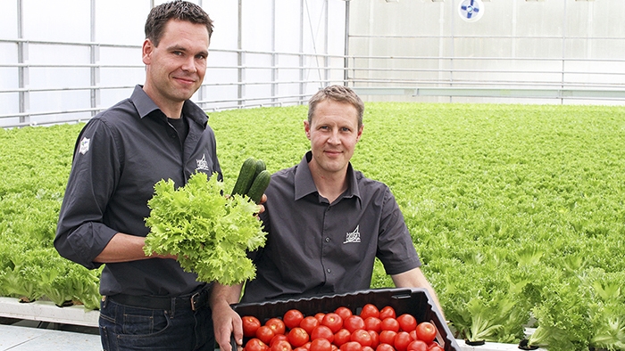 Hortiherttuan viljelijät Toni Tanner (vas) ja Jani Lindman tuottavat kotimaisia kasviksia ympäri vuoden.