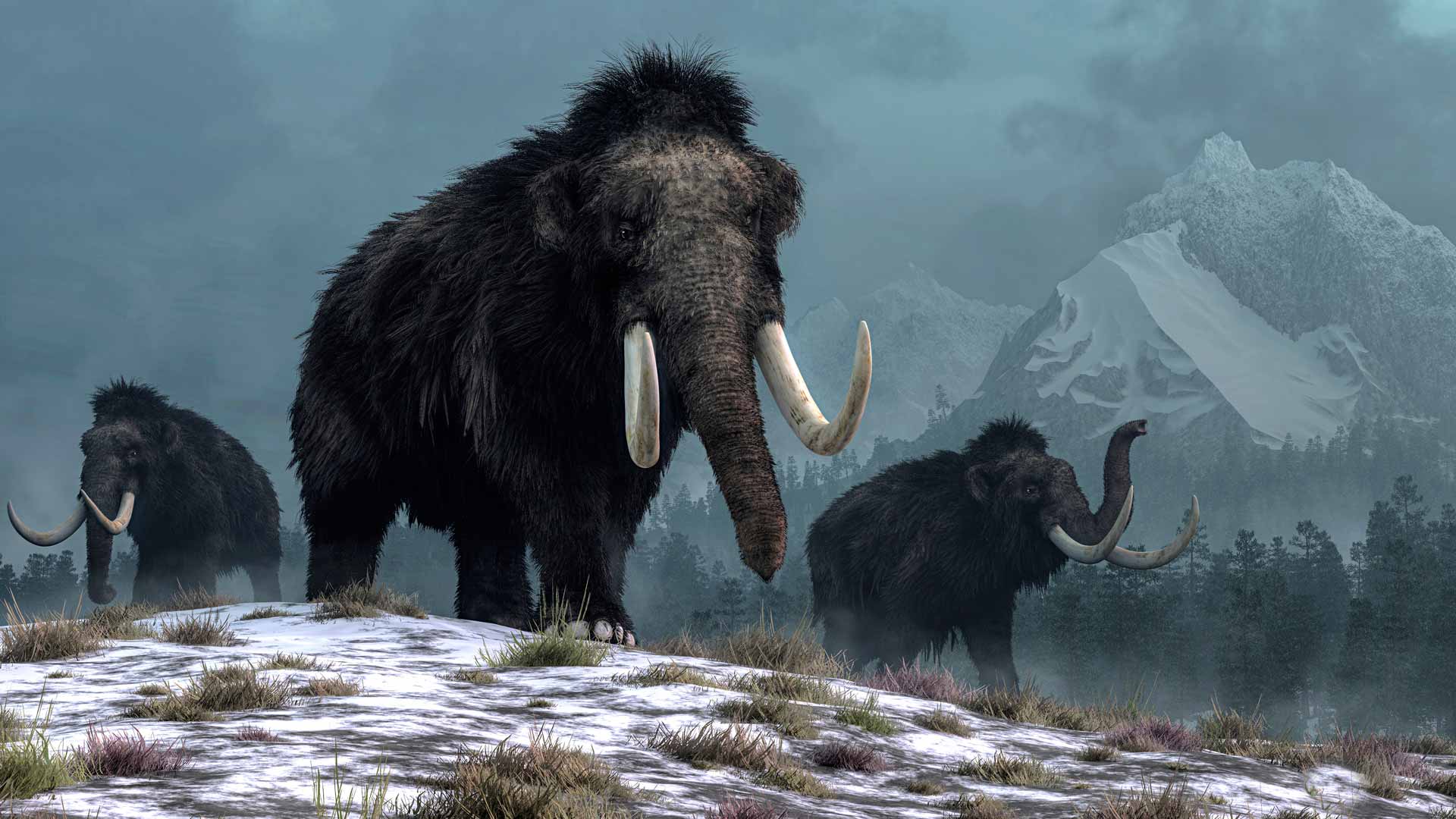 Tutkijat odottivat löytävänsä merkkejä siirtymästä maanviljelyskulttuuriin. Kuvassa mammutteja.