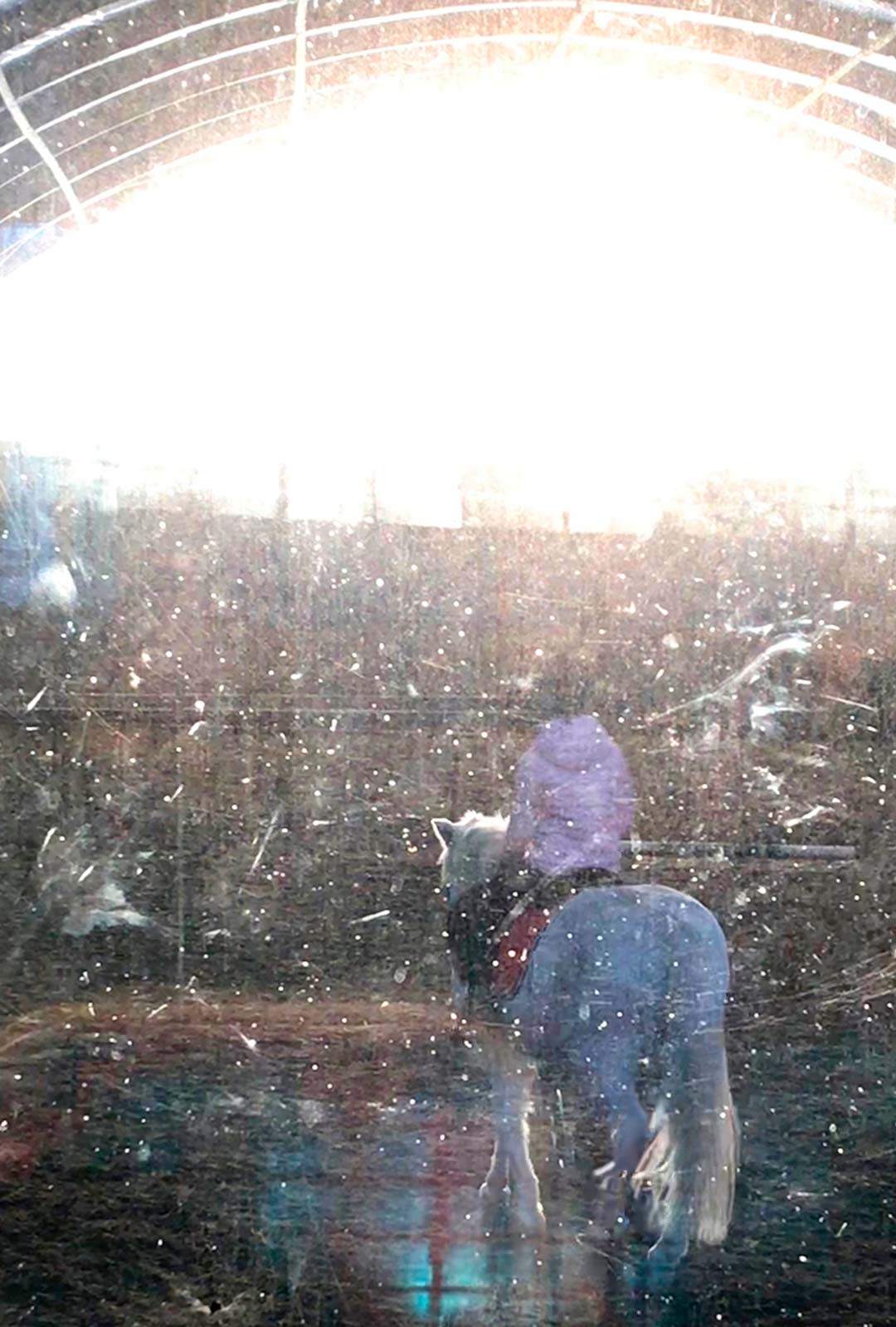 Johanna kuvaa tytärtään Loviisaa ratsastamassa. Taidekuva on otettu maneesin likaisen ikkunan läpi.