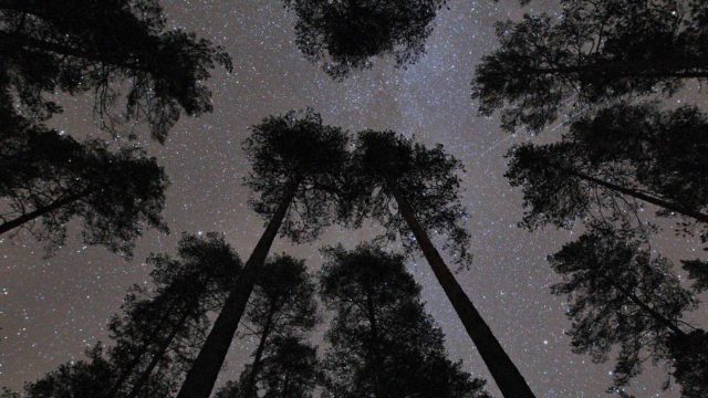 Yötaivaalla voi nähdä ainakin tähtiä, planeettoja ja satelliitteja.