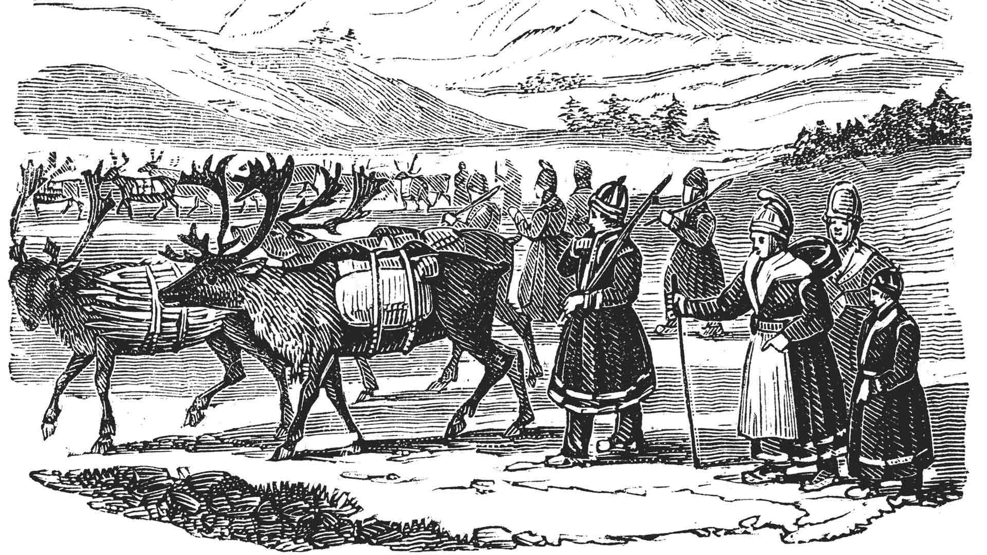 Puukaiverrus Poronlauma vuodelta 1882 kuvaa, miten saamelaiset käyttivät poroja apuna kuljettamaan ruokaa, vaatteita ja työkaluja.