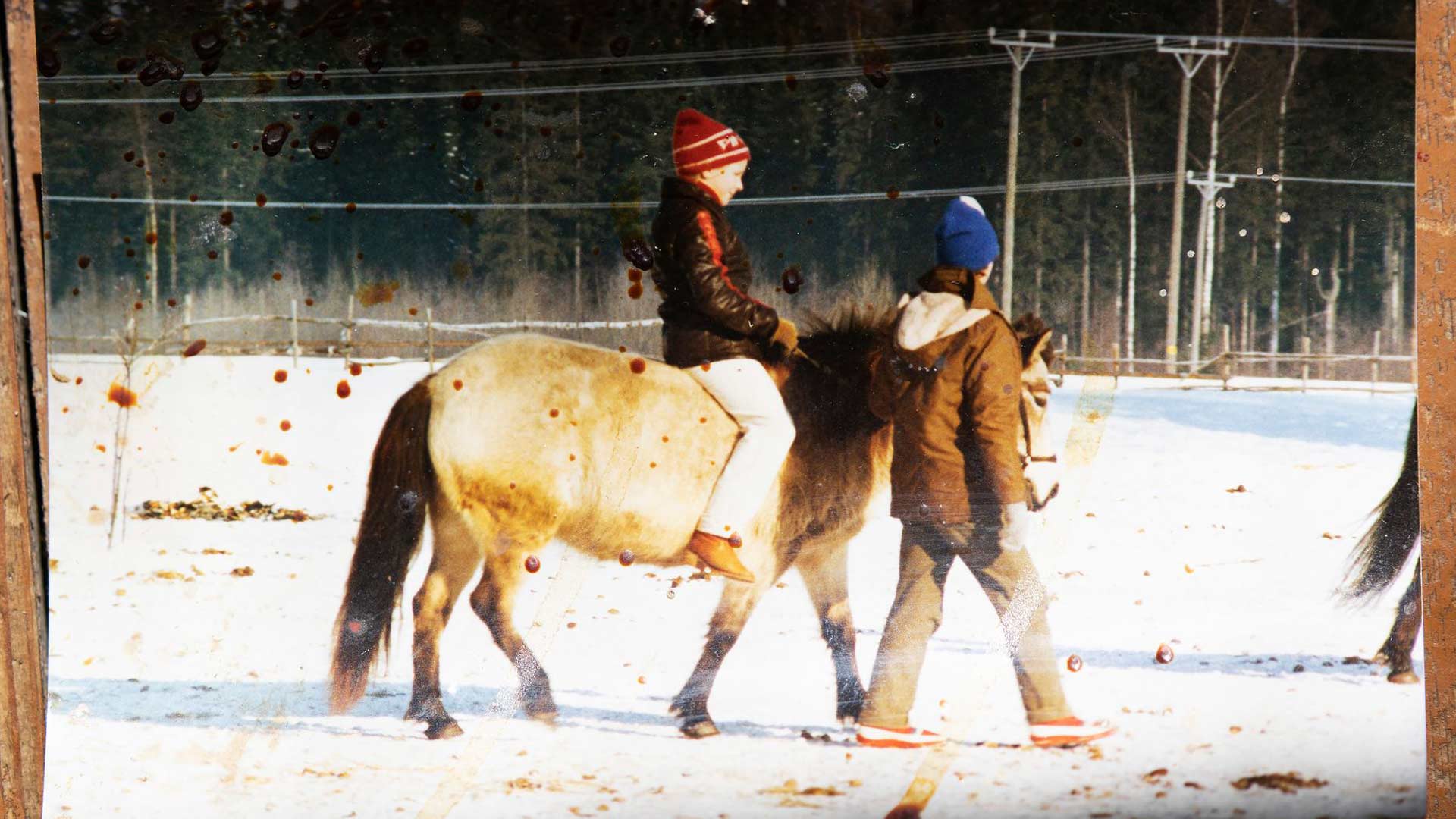 Ulla rakasti hevosia ja kaikkia eläimiä jo pienenä tyttönä. Kuvassa hän on 12-vuotias.