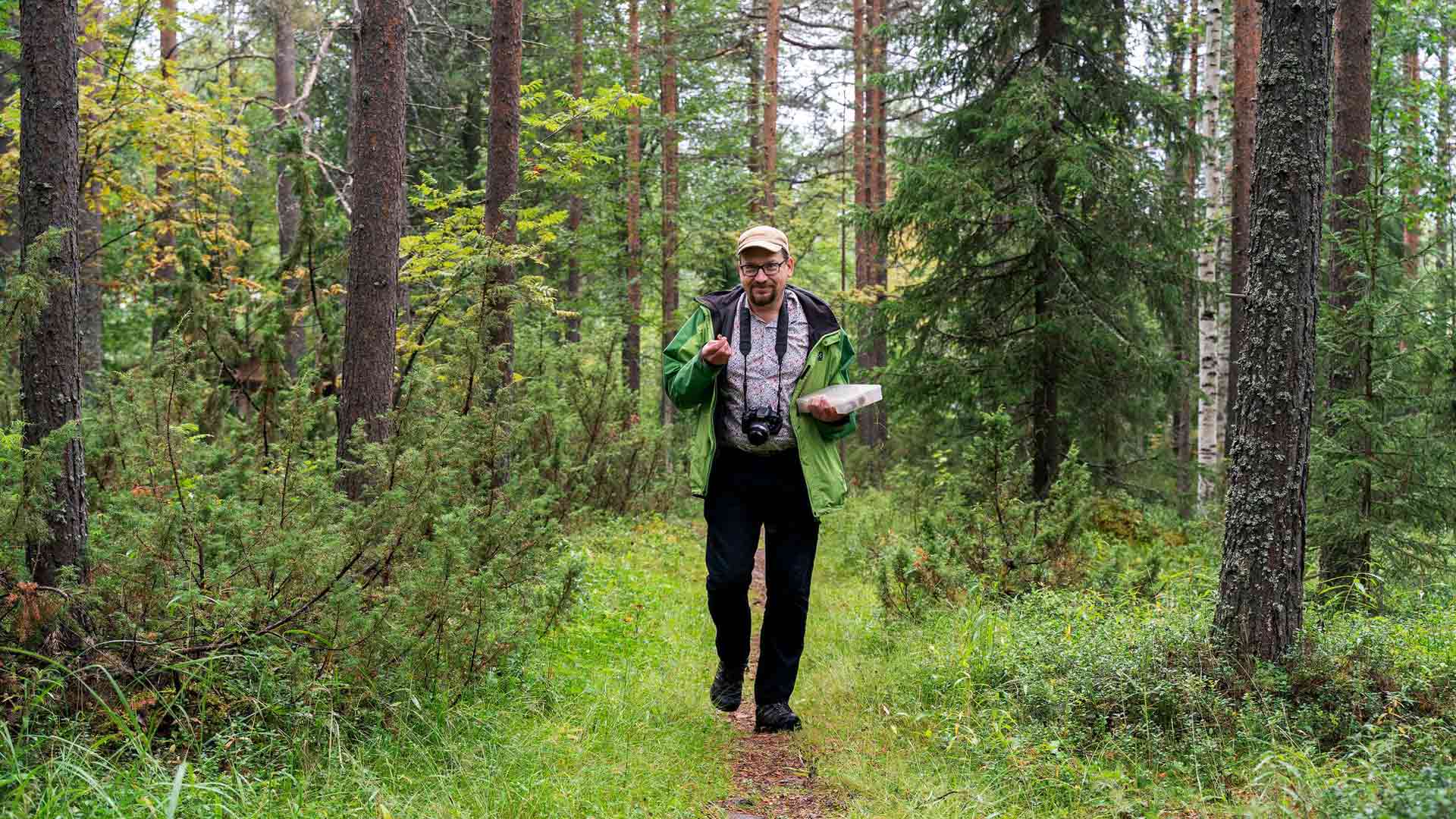 Tapio Kekki on tuttu näky Ounasvaaran länsirinteellä, jonka kalkkipitoinen maaperä on sienille otollinen.