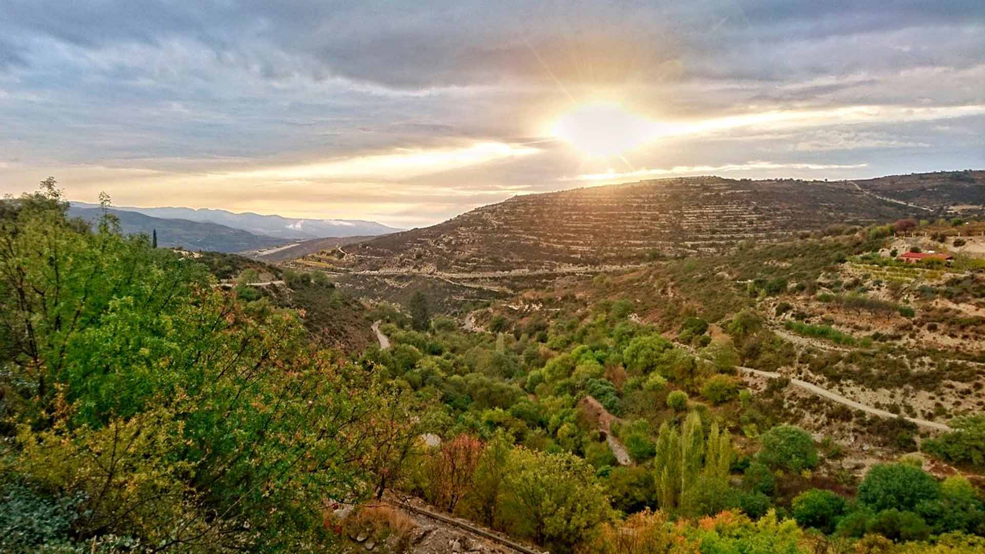 Kyproksen Troodos-vuorilla valmistetaan viiniä.