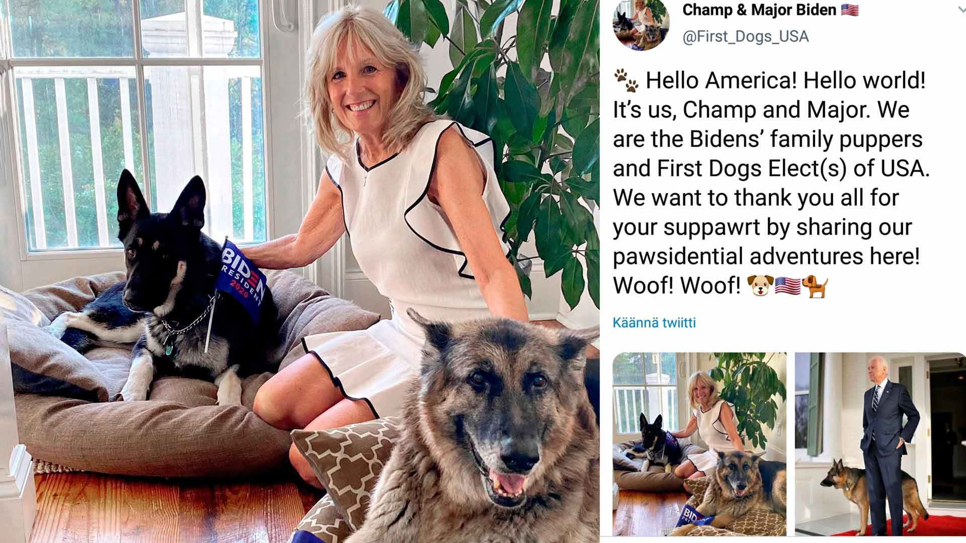 Jill ja Joe Biden ostivat Champ-saksanpaimenkoiransa 2008 kennelistä. 2018 perhe ”adoptoi” kaltoinkohdellun Major-pennun. Koirilla on oma Twitter-tilinsäkin.