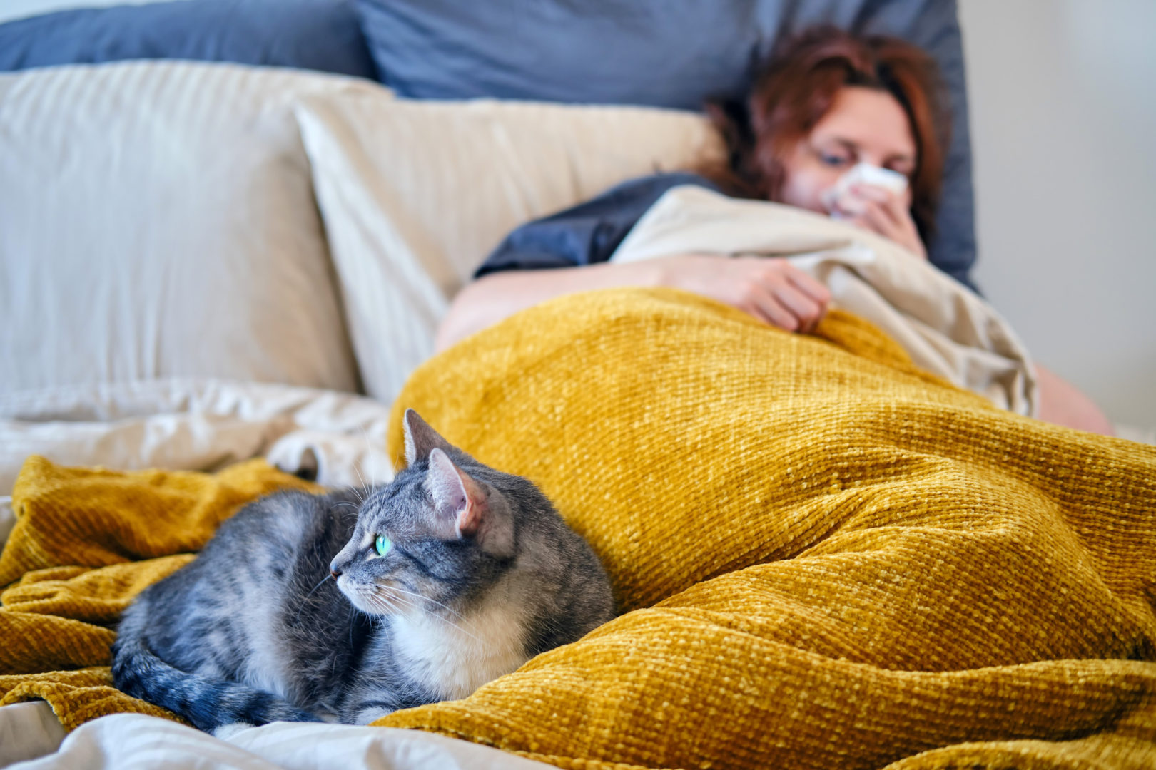 Kissa ja flunssainen nainen