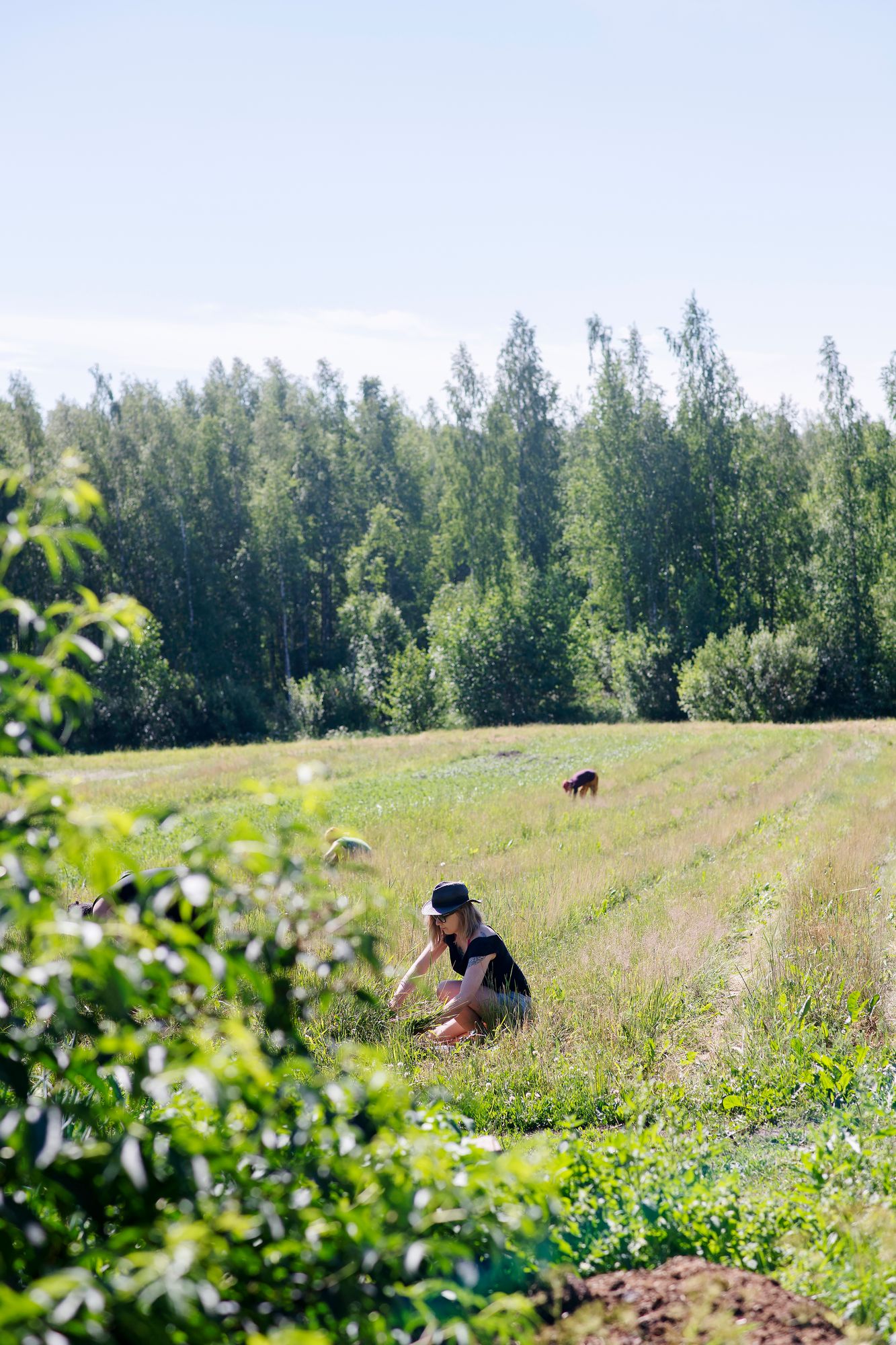 Kumppanuusviljelijä liittyy pellon osakkaaksi. © Sampo Korhonen