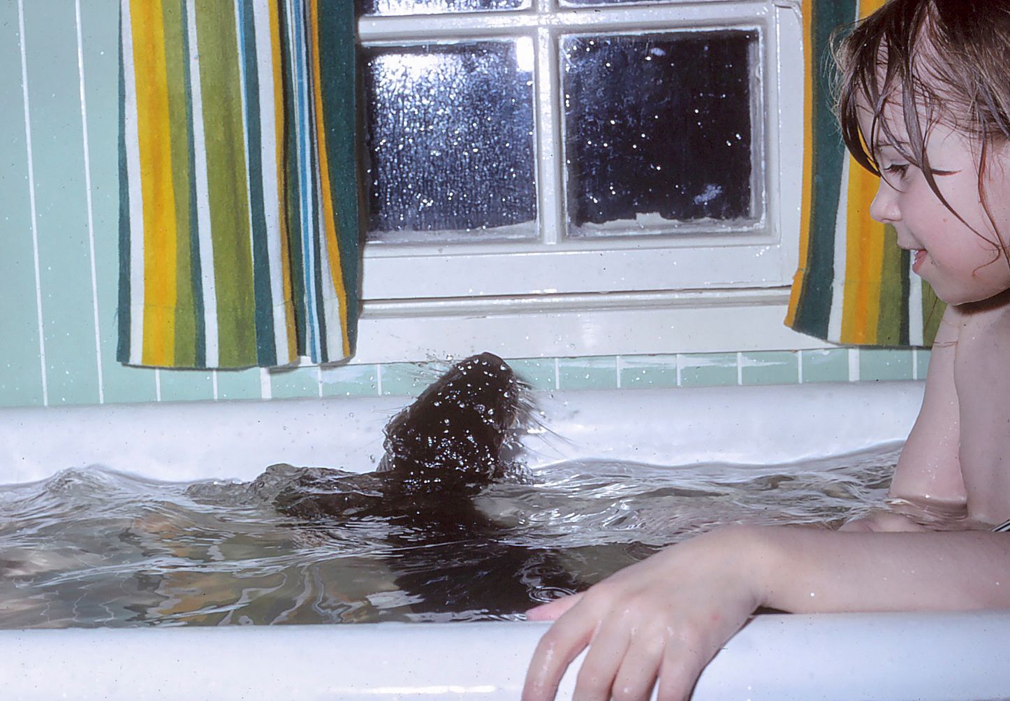 Saukko Esteri ja Aura kylvyssä: Esteri oli leikkisä ja itsepäinen. Luonnollisessa elementissään vedessä se viihtyi hyvin ihmisten kanssa. © Koivistojen kotialbumi