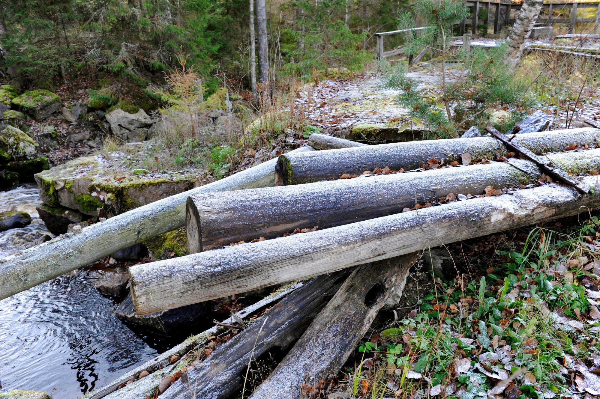 Vanhan voimalaitoksen puinen pato purettiin yksityiseltä tontilta. Vaelluskalat voivat löytää uuden reitin ensi kesänä. © Jonnes Wiehn