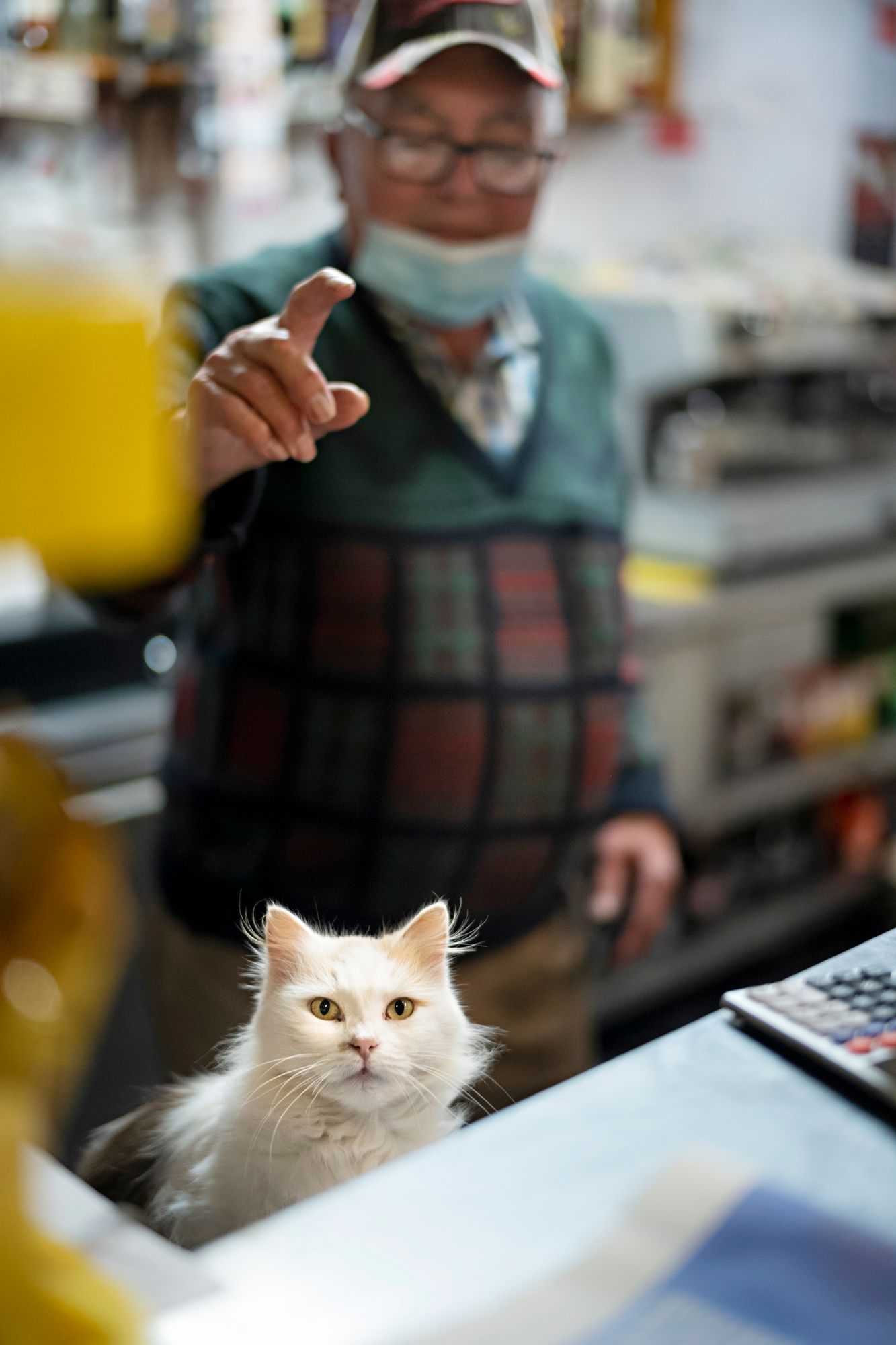 Kyläbaarin Linda-kissa päivystää tiskin takana. © Arto Wiikari