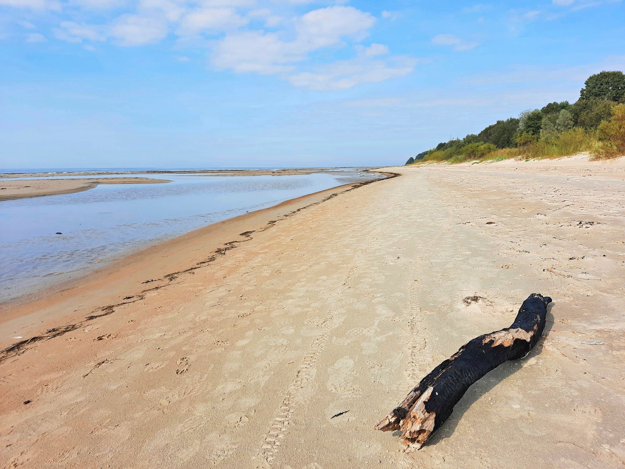Virossa riittää pitkiä hiekkarantoja. Kuvassa ranta Kablin eteläpuolelta. © Mikko Virta