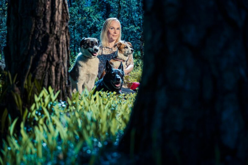 Rescue-koirat Ida, Siiri ja Darla ovat tärkeä osa Elisa Aaltolan jokapäiväistä elämää. Hän on koko elämänsä tottunut hakemaan kontaktia niin lemmikki-, tuotanto- kuin luonnon­eläimiinkin. © Vesa Tyni