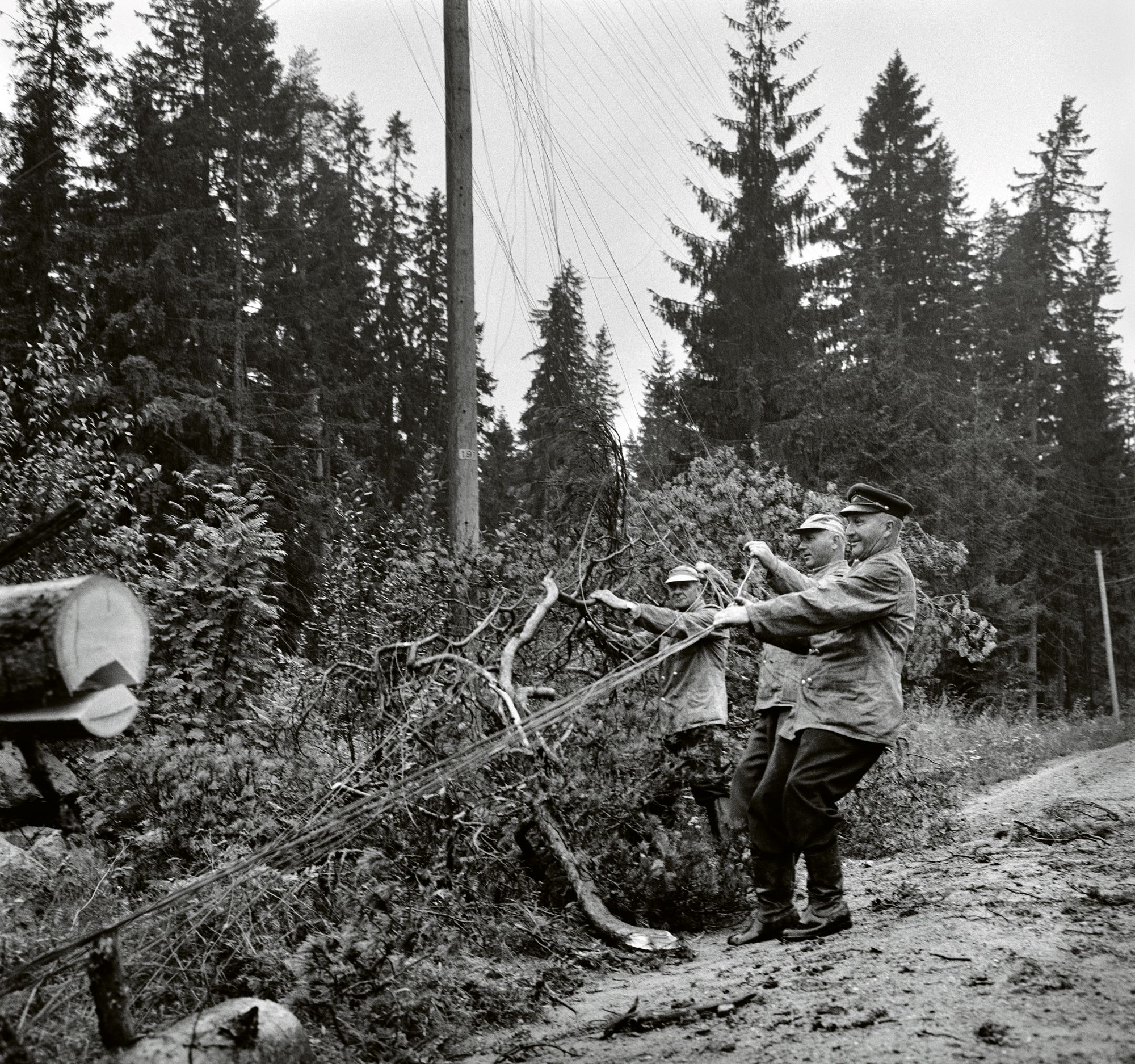 Puhelinasentajat raivasivat kaatuneita puita pois sähkölinjojen päältä usean päivän ajan. © Lehtikuva