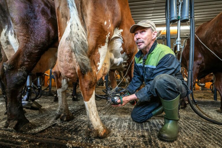 Maitotilallinen Urho Guttorm on huomannut, että Ukrainan sodan alettua kaikki on kallistunut.  © Juha Kauppinen