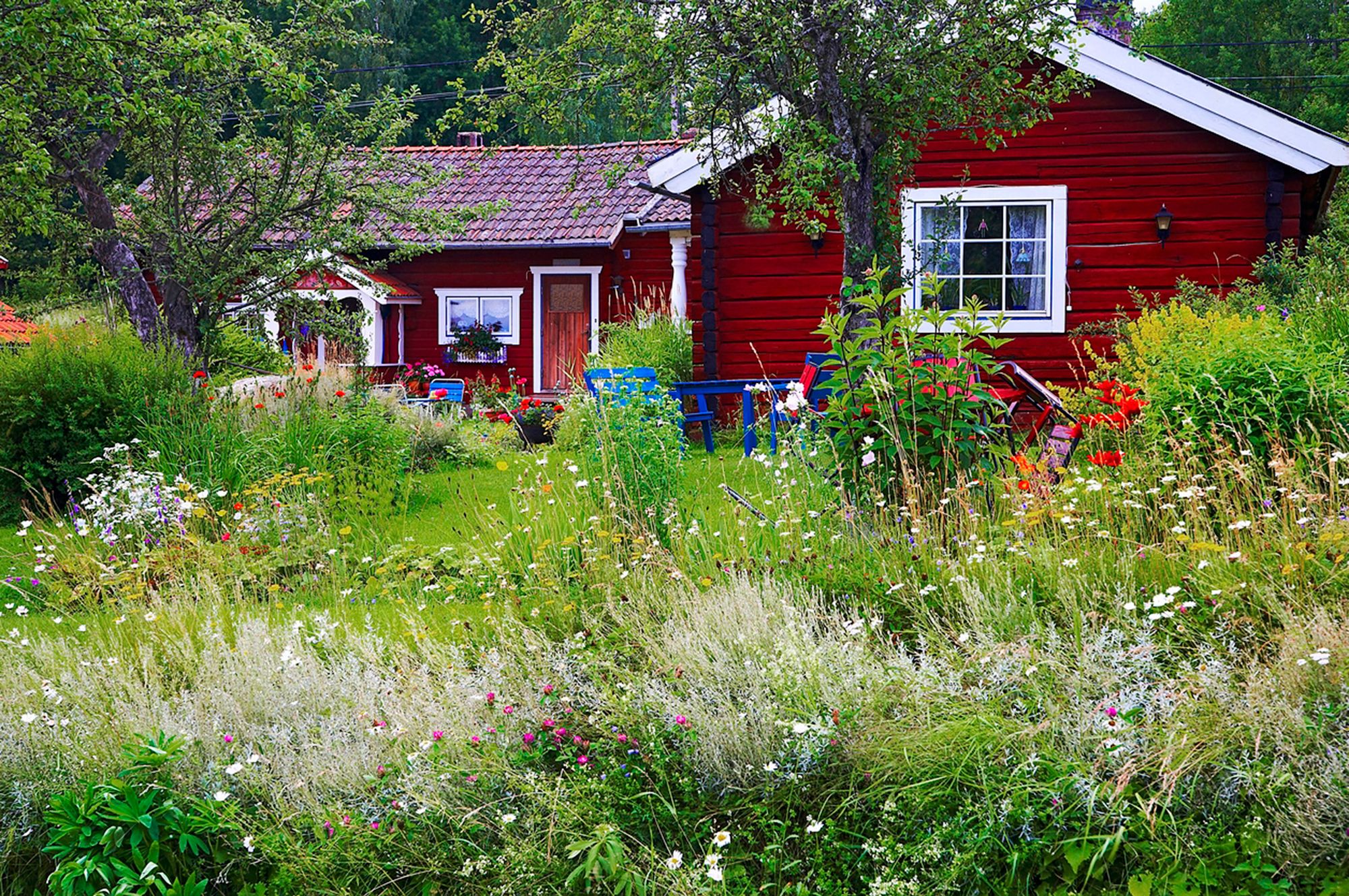 Avoimet puutarhat: Puutarhassa villeyskin on sallittua. © iStock