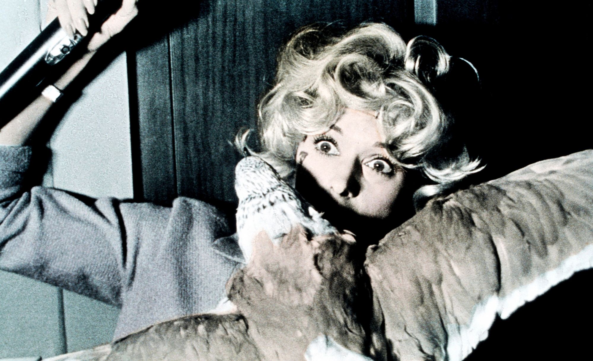 Jännityselokuvassa Linnut (1963) Tippi Hedren joutui siivekkäiden silmittömän raivon kohteeksi. © Courtesy Everett Collection