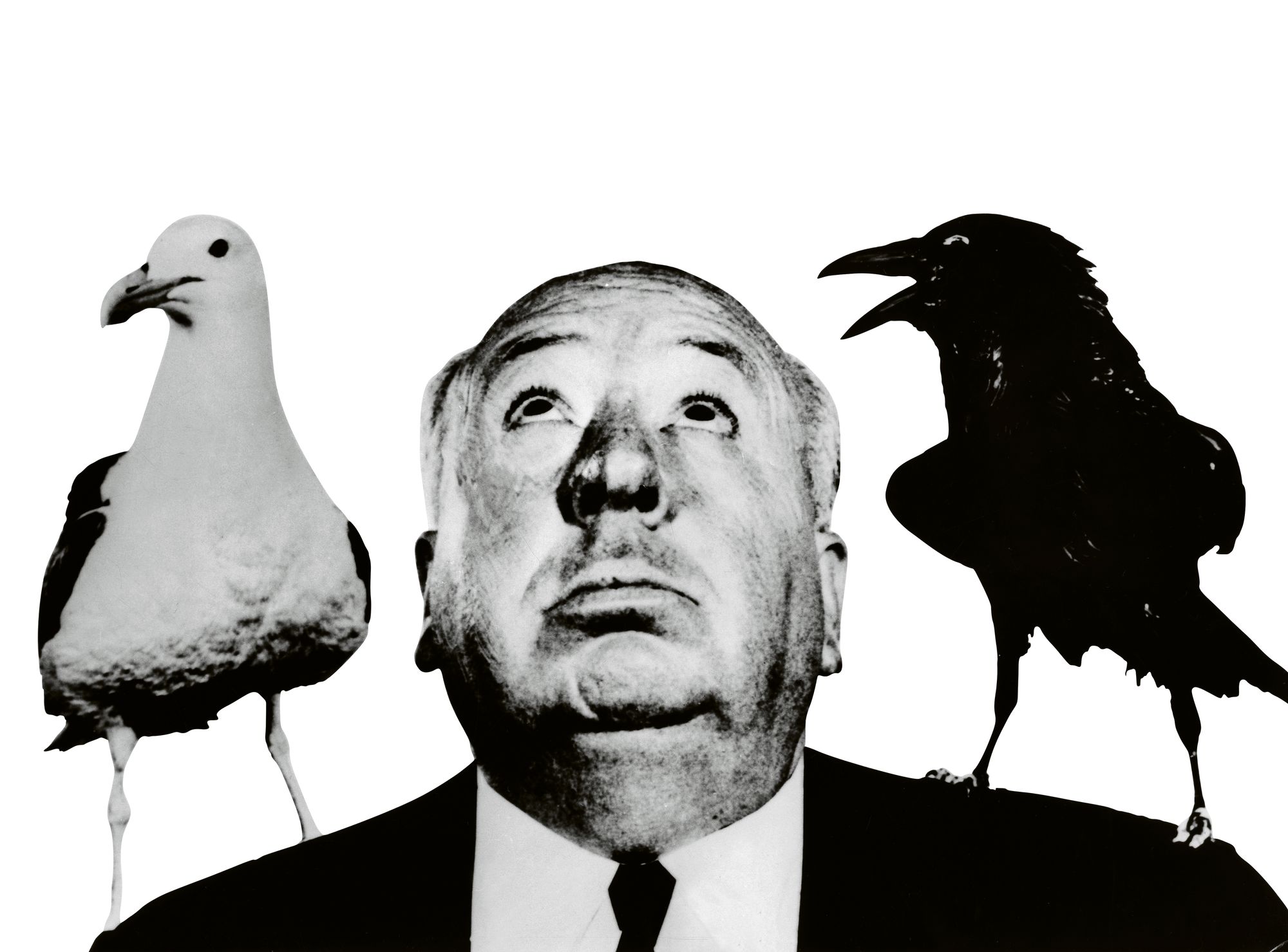 Linnut-elokuvan luoja Alfred Hitchcock pysyi todellisuudessa kaukana linnuista, myös kuvauksissa. © All over press