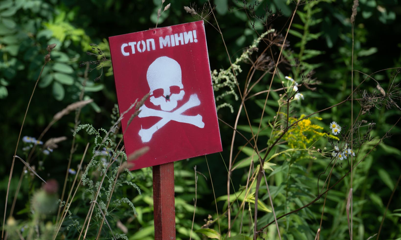 Varoitus miinoista hautausmaalla Ukrainassa