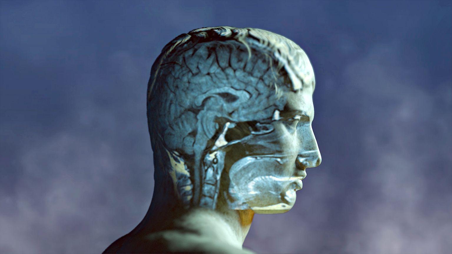 Prisma: Sairaan mielen salat -dokumentti oikoo mielisairauksiin liittyviä  ennakkoluuloja 