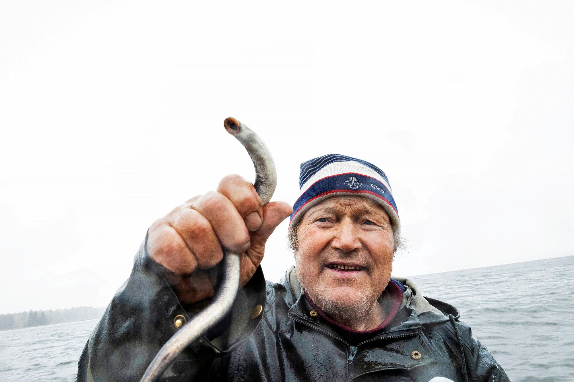 Kotkalainen, kokenut nahkiaisten­pyytäjä, 75-vuotias Hannu Lanki silmäilee saalista. Nahkiainen on ihan hyvän kokoinen syötäväksi.  © Juha Metso