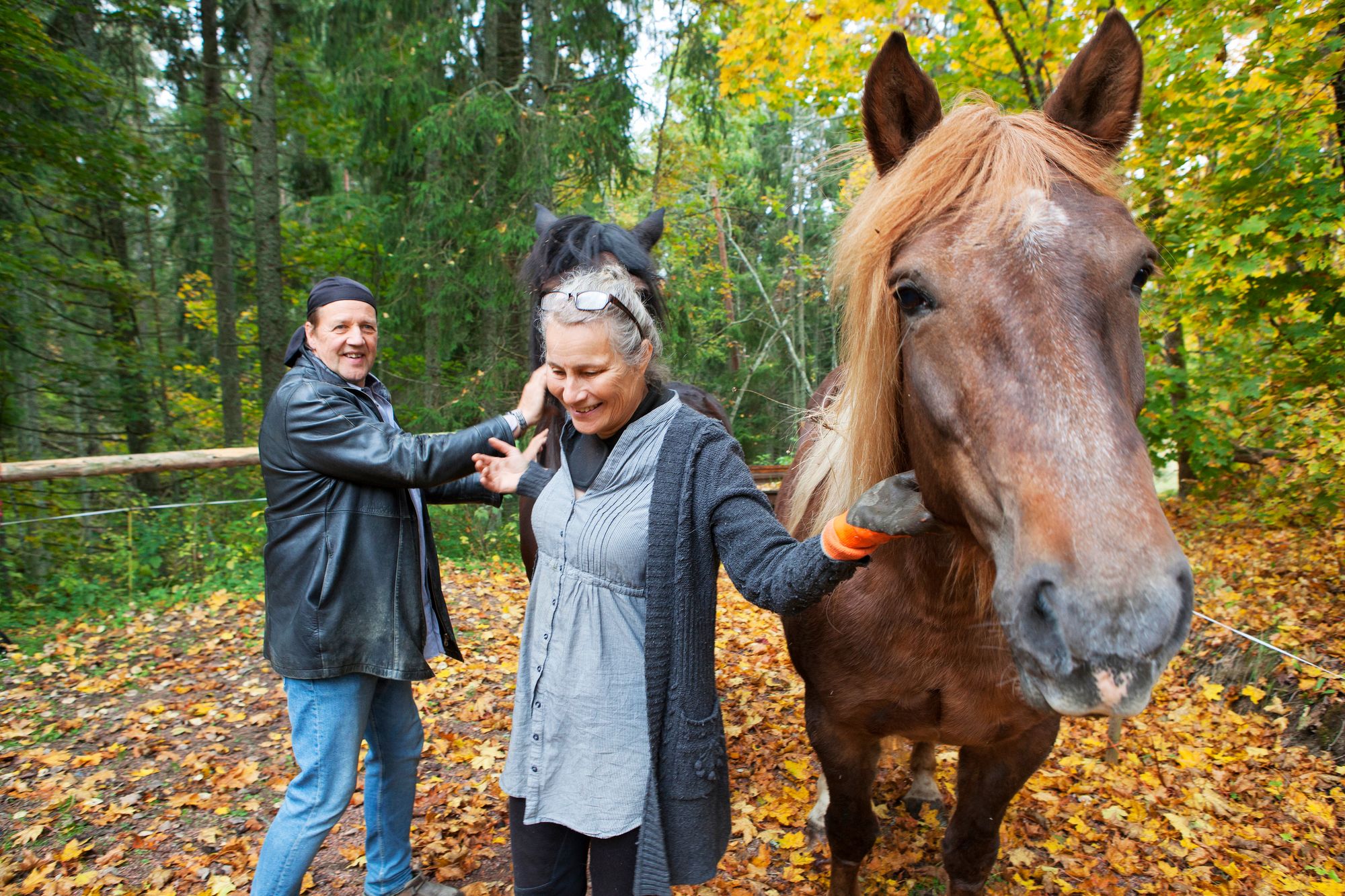 Linnassa eletään mahdollisimman luonnonmukaista elämää. Hevoset Ekku ja Julle viihtyvät ulkosalla, vapaina laakson mailla. © Sini-Marja Niska