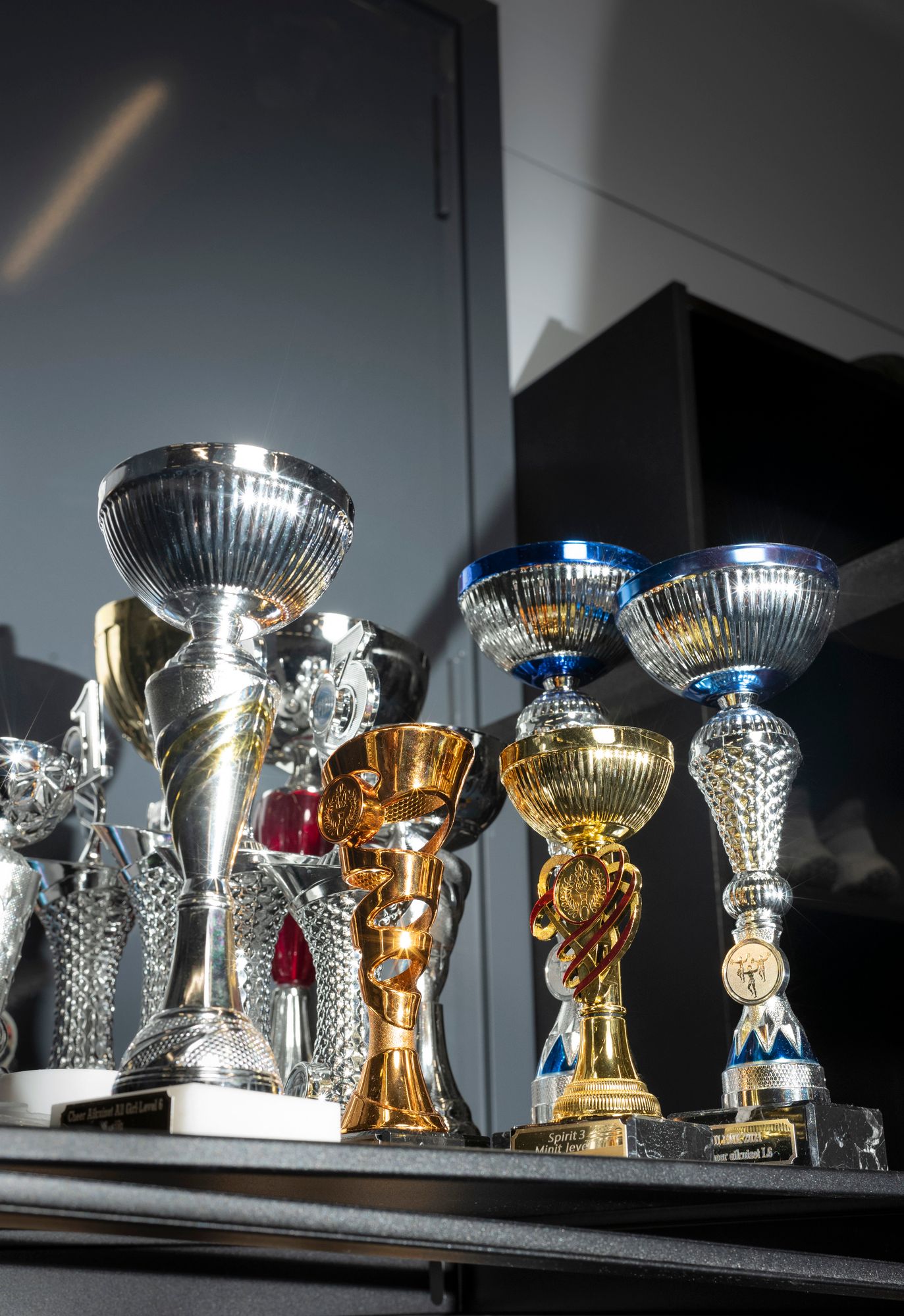 Golden Spirit -cheerleaderseuran Dinosaurs-joukkue on voittanut useita kilpailuja. © Arto Wiikari