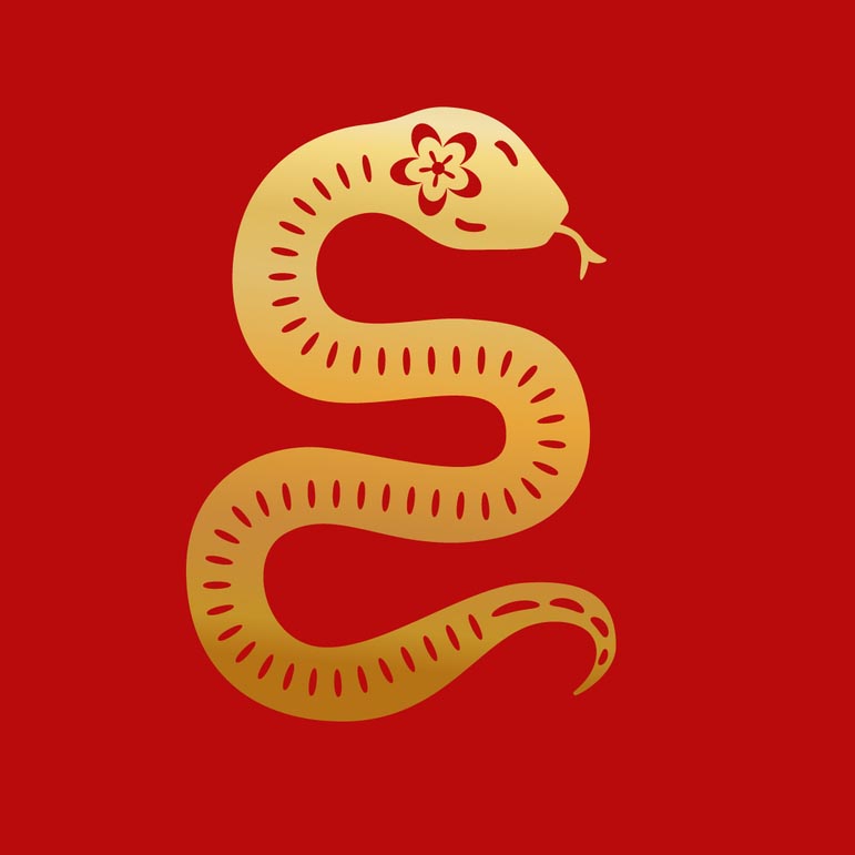 Kiinalainen horoskooppi 2023 – Käärme.