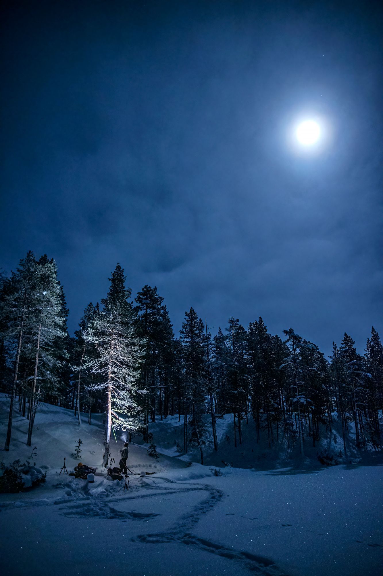 Leiripaikaksi valikoituu Taimen­järven eteläranta suojaisan rinteen juurella. © Marjo Tynkkynen