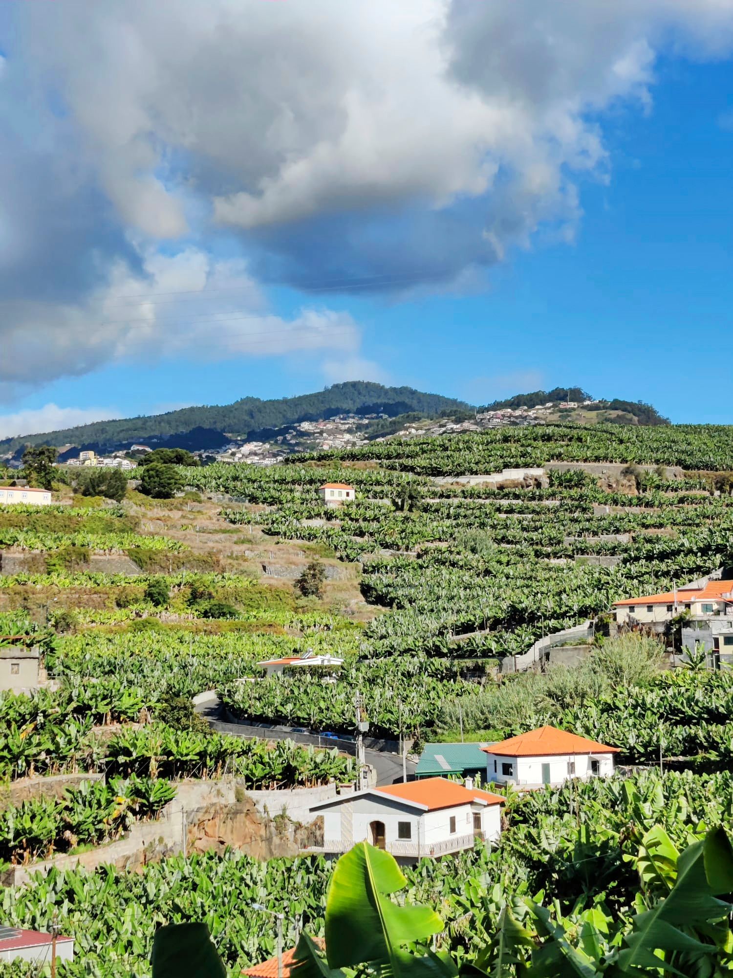 Levadoja pitkin patikoidessa avautuu näkymiä muun muassa Madeiran viljelyterasseille. © Tiina Suomalainen