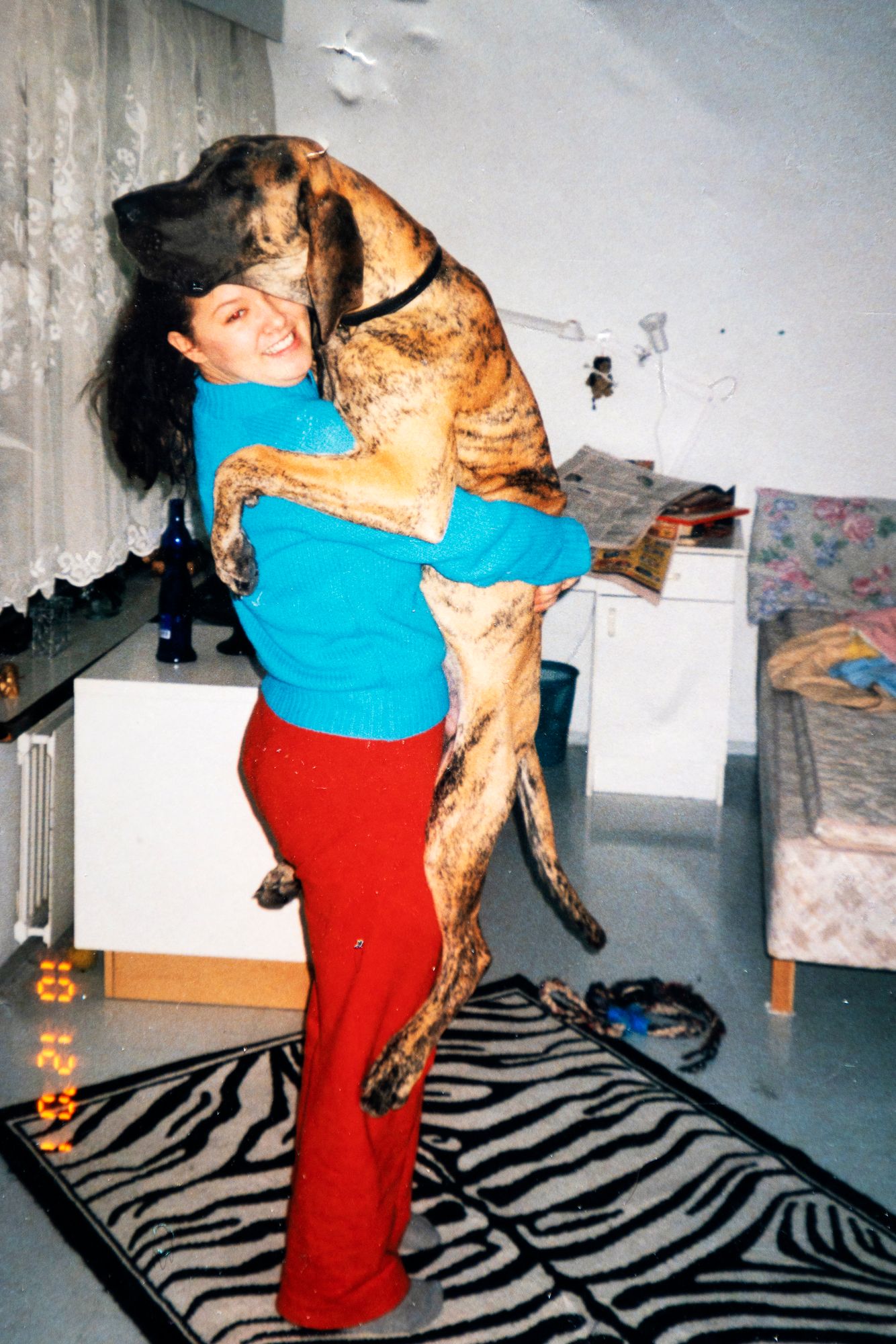 Koirat ja eläimet lievittävät Hennan ahdistuneisuutta. 19-vuotiaana, Rovaniemellä jo omillaan asuneella Hennalla oli tanskandoggi Rose, joka ”ei ymmärtänyt olevansa suuri koira”. © Teija Soini