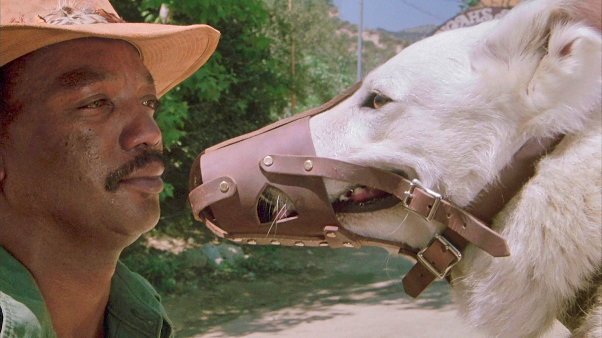 Paul Winfield näyttelee koirankouluttajaa, joka alkaa selvittää ongelmakoiran salaisuutta.  © Ylen kuvapalvelu